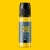 26.webp