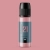21.webp