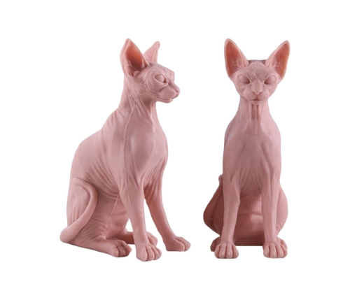 Silikonowy Model Kota Sphynx do Ćwiczeń Tatuażu